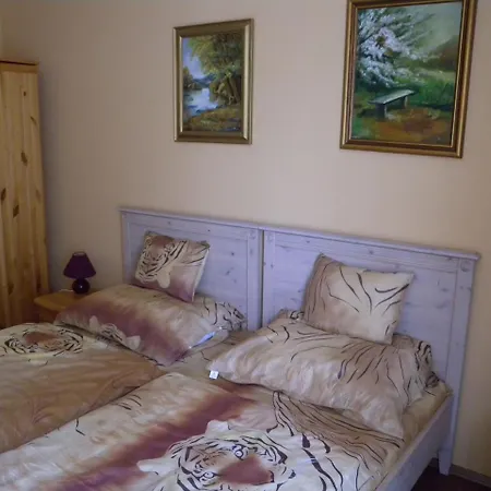 One-bedroom In Heviz/balaton 18967 アパート ヘーヴィーズ